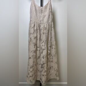 Joie Elegant Cream Lace Dress